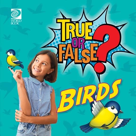 Produktbild: True or False? Birds