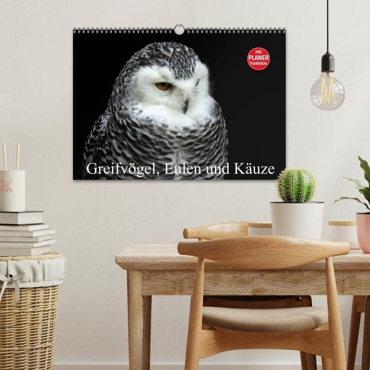 Produktbild: Greifv&ouml;gel, Eulen und K&auml;uze (Wandkalender 2026 DIN A3 quer), CALVENDO Monatskalender