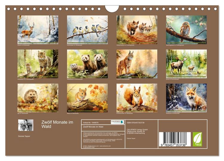 Produktbild: Zw&ouml;lf Monate im Wald (Wandkalender 2026 DIN A4 quer), CALVENDO Monatskalender