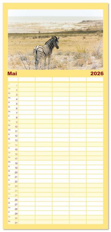 Produktbild: Familienplaner 2026 - Zebras in Afrika mit 5 Spalten (Wandkalender, 21 x 45 cm) CALVENDO