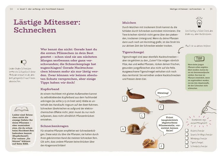 Produktbild: Dein Projekt. Dein Guide. G&auml;rtnern mit Hochbeet