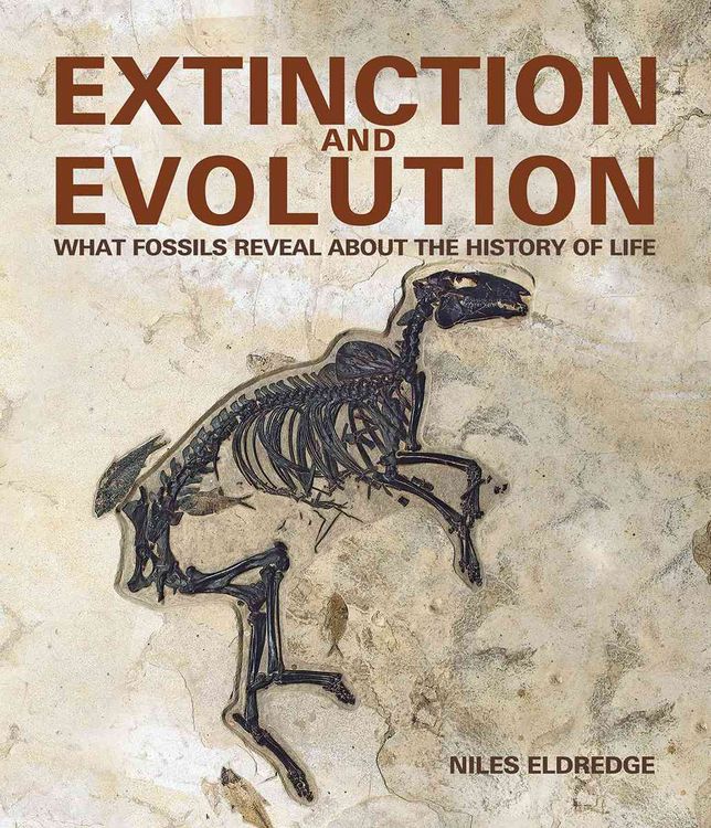 Produktbild: Extinction and Evolution
