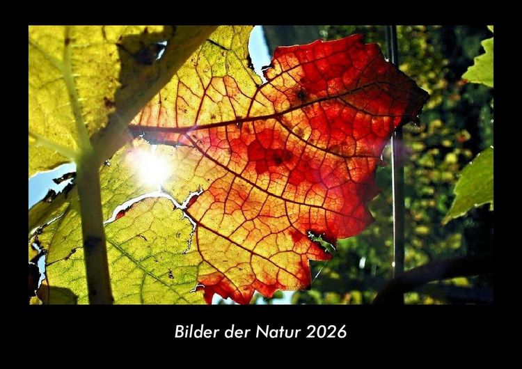 Produktbild: Bilder der Natur 2026 Fotokalender DIN A3