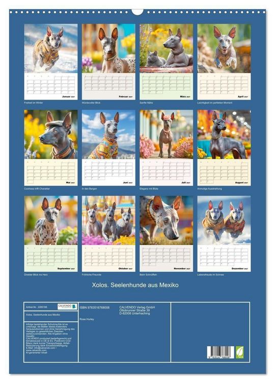 Produktbild: Xolos. Seelenhunde aus Mexiko (Wandkalender 2027 DIN A2 hoch), CALVENDO Monatskalender