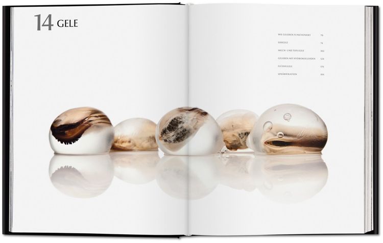 Modernist Cuisine. Die Revolution der Kochkunst