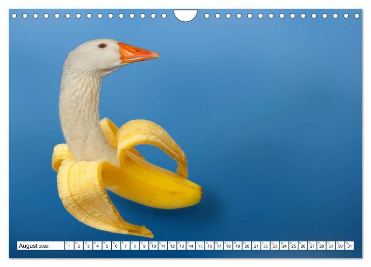 Produktbild: Lustige Tier-Hybriden (Wandkalender 2026 DIN A4 quer), CALVENDO Monatskalender