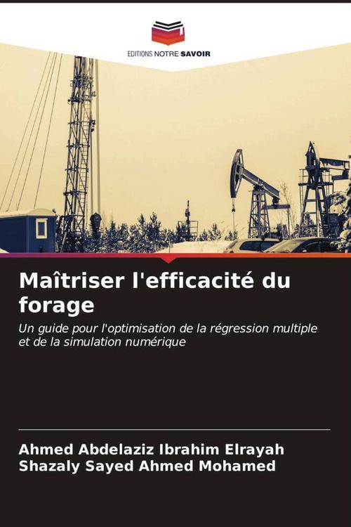 Produktbild: Ma&icirc;triser l'efficacit&eacute; du forage