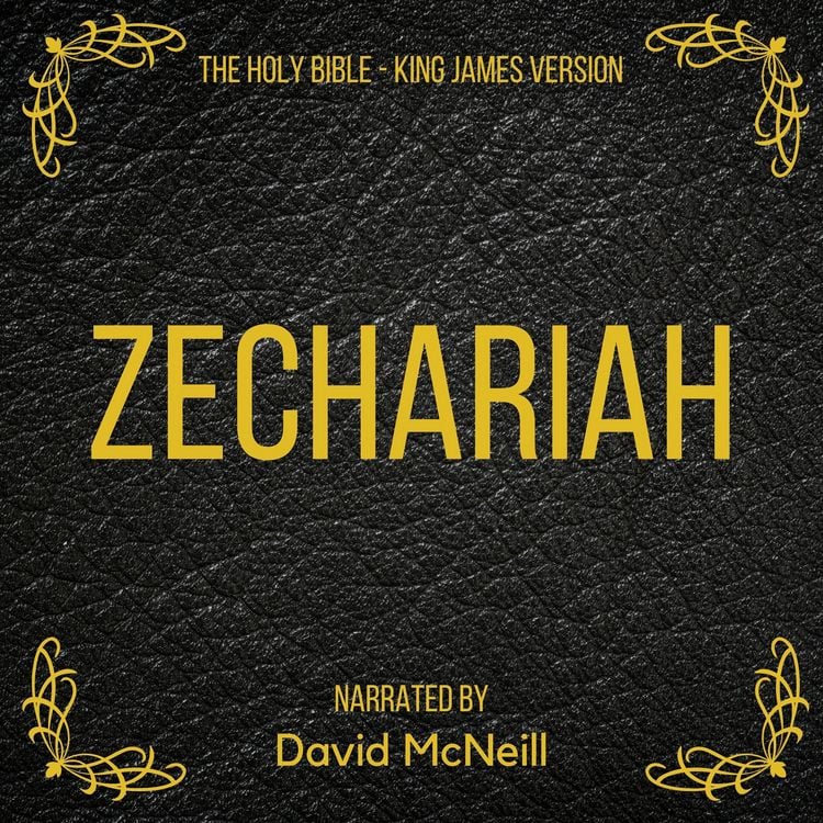 Produktbild: The Holy Bible - Zechariah