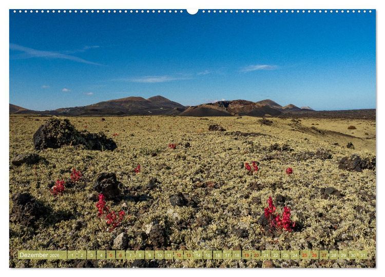 Produktbild: Magische Vulkaninseln im Atlantik (hochwertiger Premium Wandkalender 2026 DIN A2 quer), Kunstdruck in Hochglanz