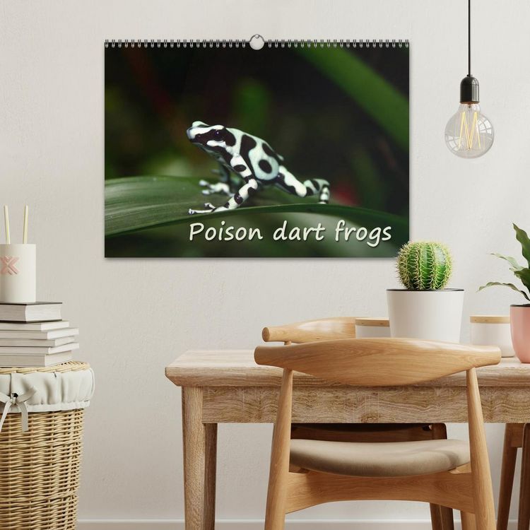 Produktbild: Poison dart frogs / UK-Version / Birthday Calendar (Wall Calendar 2026 DIN A3 landscape), CALVENDO 12 Month Wall Calendar