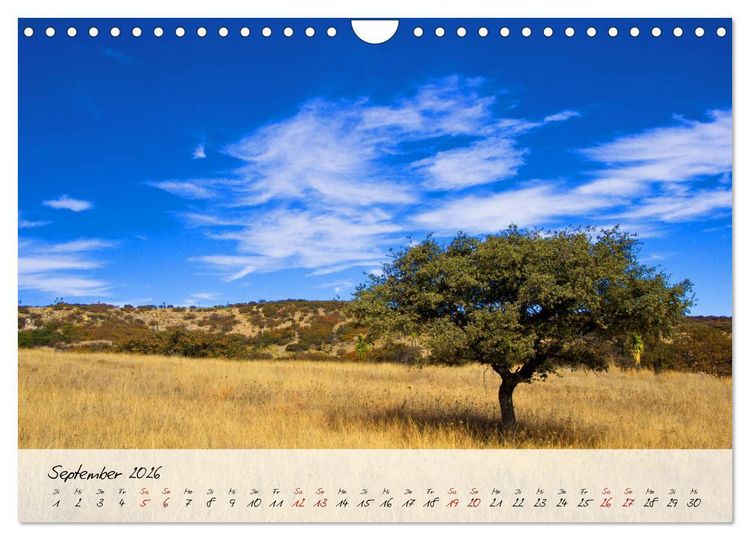 Produktbild: Mexiko - Bunte Vielfalt in Stadt und Land (Wandkalender 2026 DIN A4 quer), CALVENDO Monatskalender
