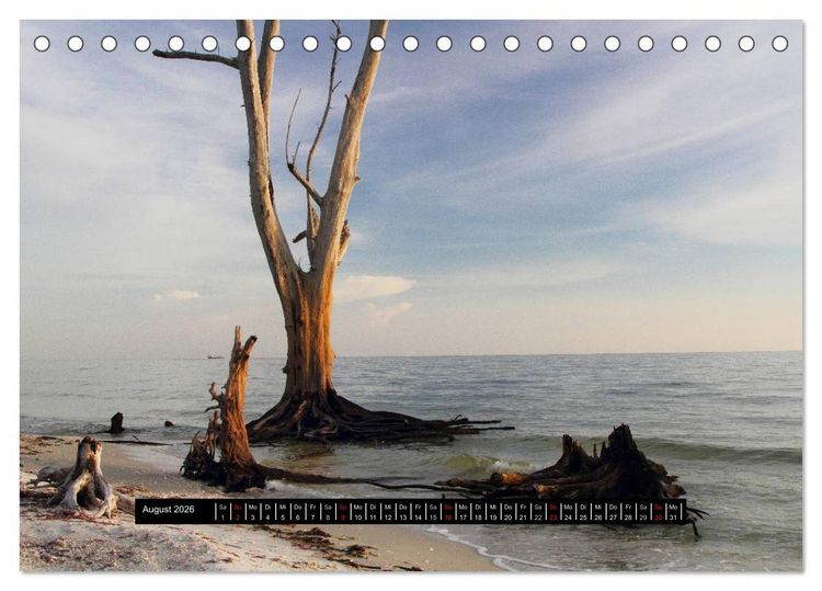 Produktbild: Florida Impressionen (Tischkalender 2026 DIN A5 quer), CALVENDO Monatskalender