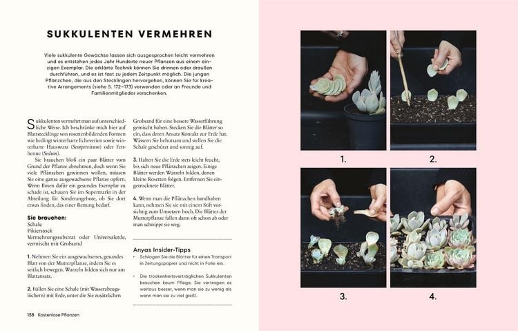 Produktbild: G&auml;rtnern f&uuml;r wenig Geld