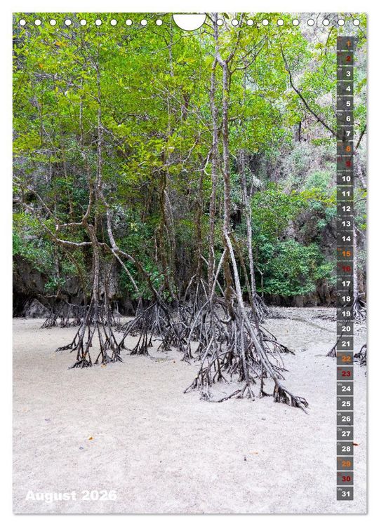 Produktbild: Thailand - Perle Asiens (Wandkalender 2026 DIN A4 hoch), CALVENDO Monatskalender