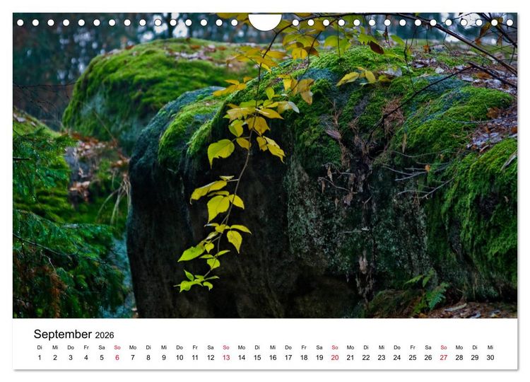 Produktbild: Granitwelten im Waldviertel (Wandkalender 2026 DIN A4 quer), CALVENDO Monatskalender