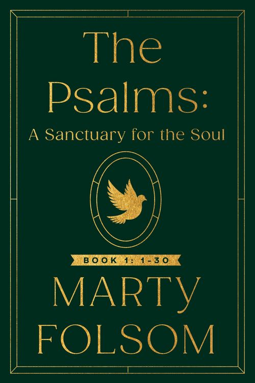 Produktbild: The Psalms: A Sanctuary for the Soul