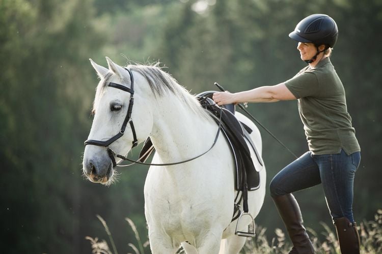 Einfach (An)Reiten