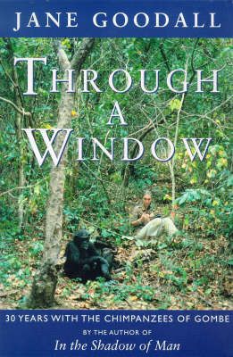 Produktbild: Through a Window