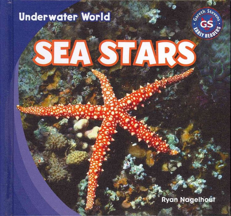 Produktbild: Sea Stars