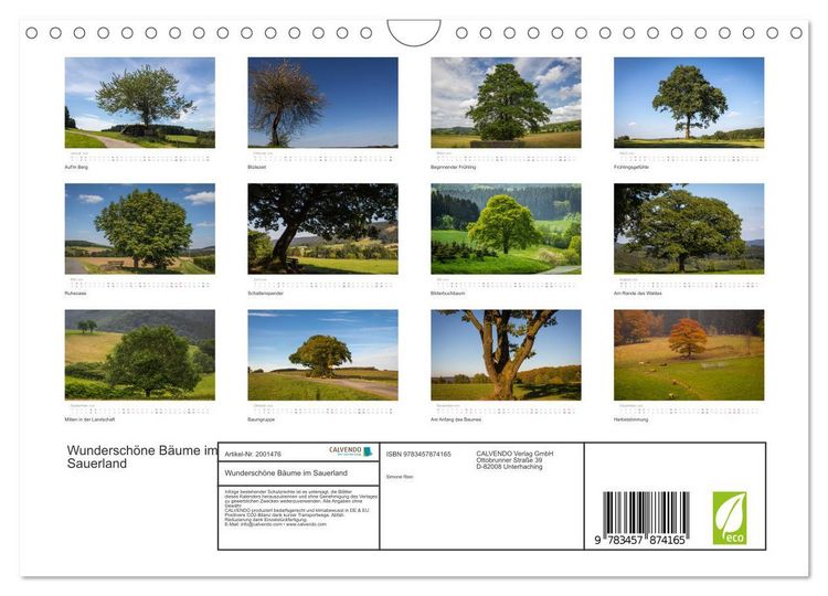 Produktbild: Wundersch&ouml;ne B&auml;ume im Sauerland (Wandkalender 2026 DIN A4 quer), CALVENDO Monatskalender