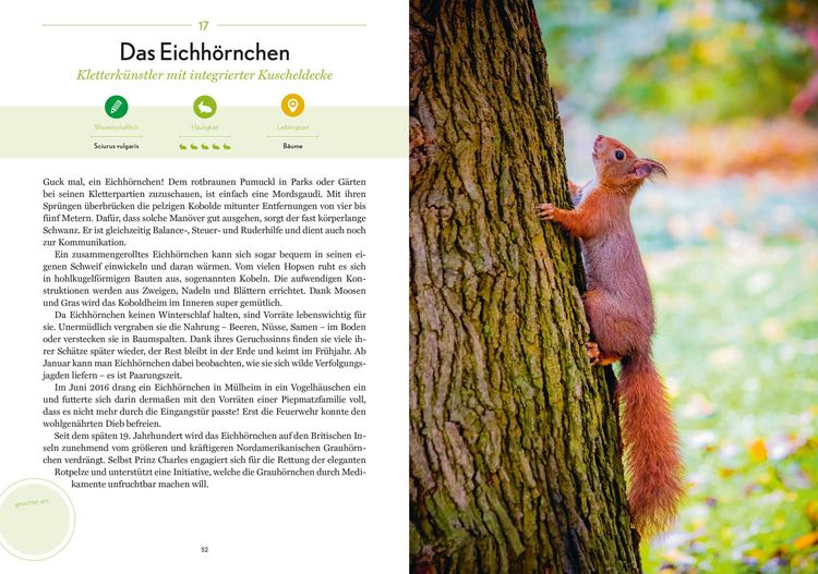 Produktbild: Stadtwild
