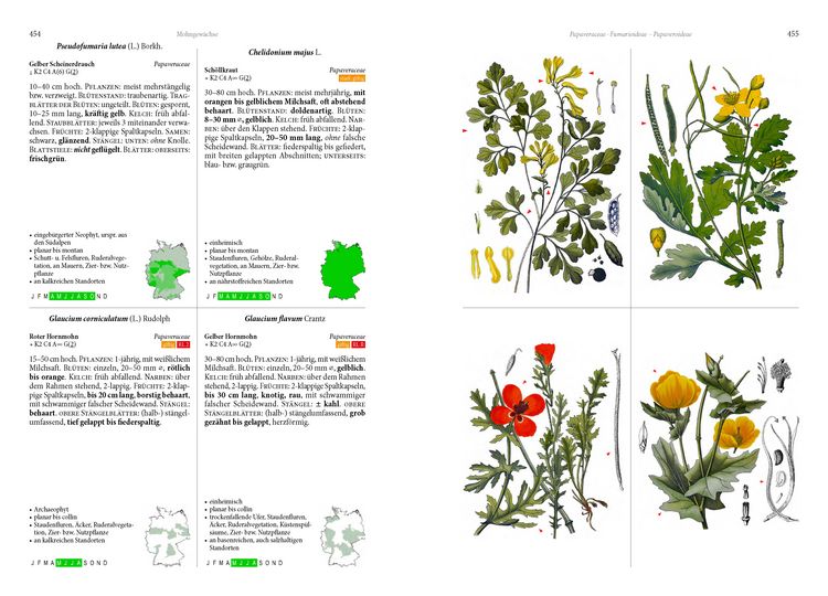Die Flora von Deutschland. Alle heimischen Arten" online kaufen