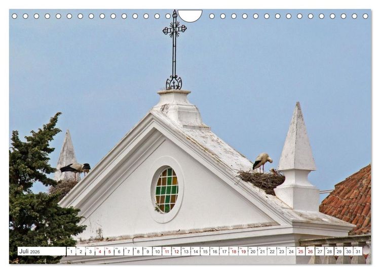 Produktbild: Die Sandalgarve - Der flache K&uuml;stenabschnitt im S&uuml;dosten Portugals (Wandkalender 2026 DIN A4 quer), CALVENDO Monatskalender
