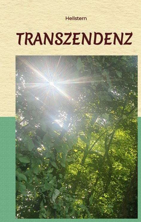 Produktbild: Transzendenz