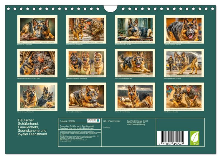 Produktbild: Deutscher Sch&auml;ferhund. Familienheld, Sportskanone und loyaler Diensthund (Wandkalender 2026 DIN A4 quer), CALVENDO Monatskalender