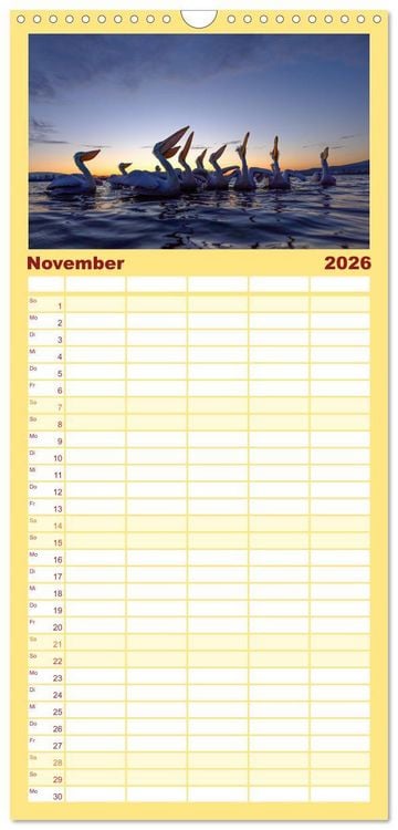 Produktbild: Familienplaner 2026 - Krauskopfpelikane mit 5 Spalten (Wandkalender, 21 x 45 cm) CALVENDO