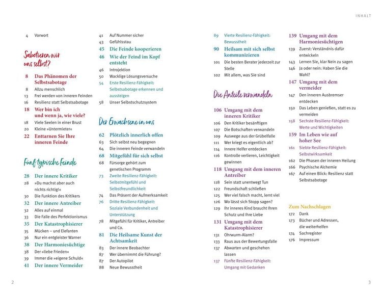 Produktbild: Der Feind in meinem Kopf