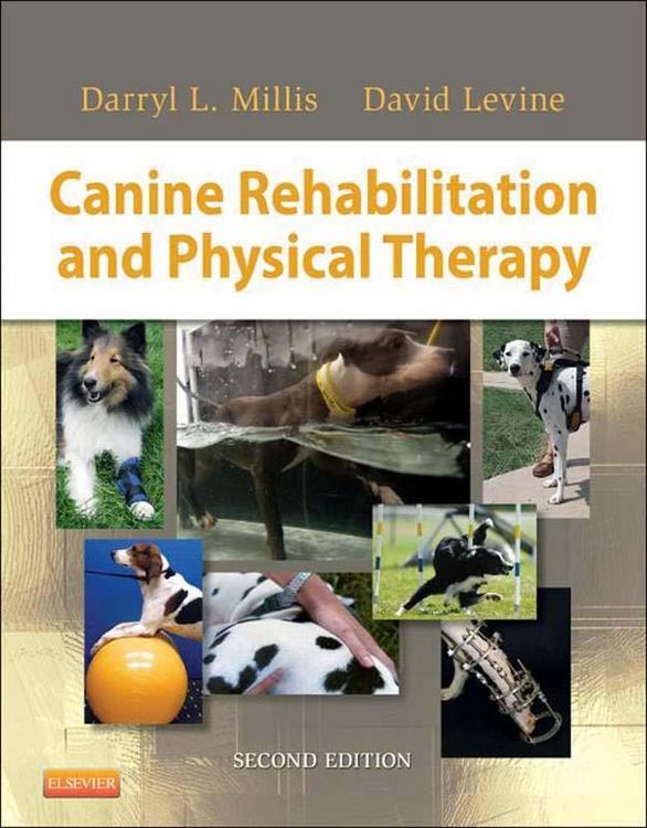 Produktbild: Canine Rehabilitation and Physical Therapy