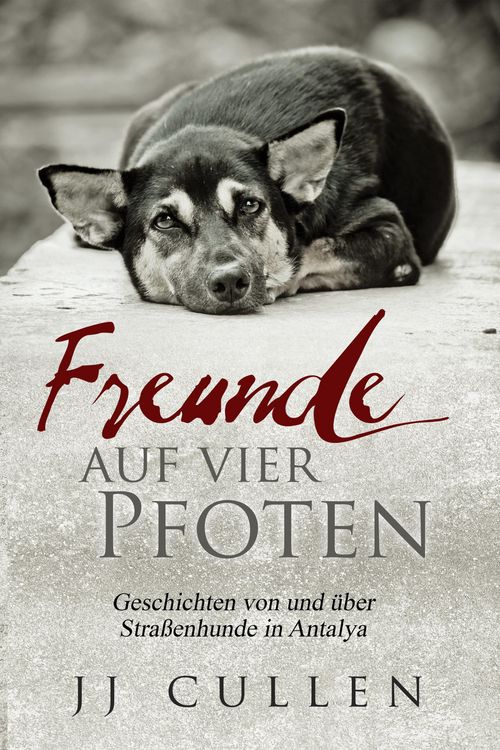 Produktbild: Freunde auf vier Pfoten