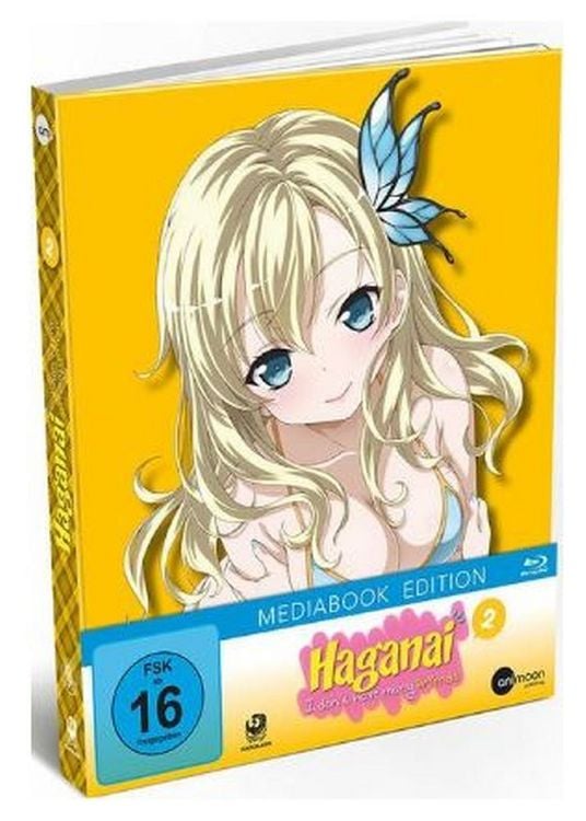Produktbild: Haganai Vol.2