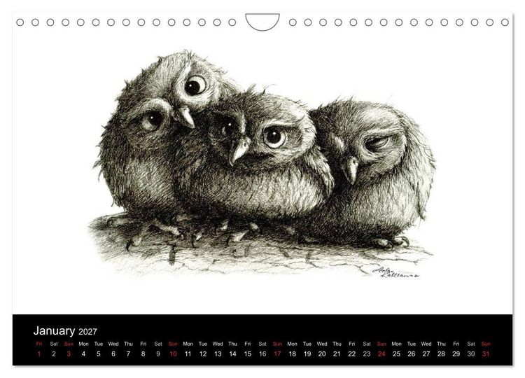 Produktbild: owls & friends 2027 (Wall Calendar 2027 DIN A4 landscape), CALVENDO 12 Month Wall Calendar