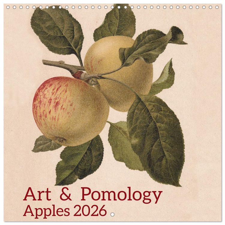 Produktbild: Art & Pomology - Apples 2026 (Wall Calendar 2026 12 &times; 12 Inch) CALVENDO 12 Month Wall Calendar