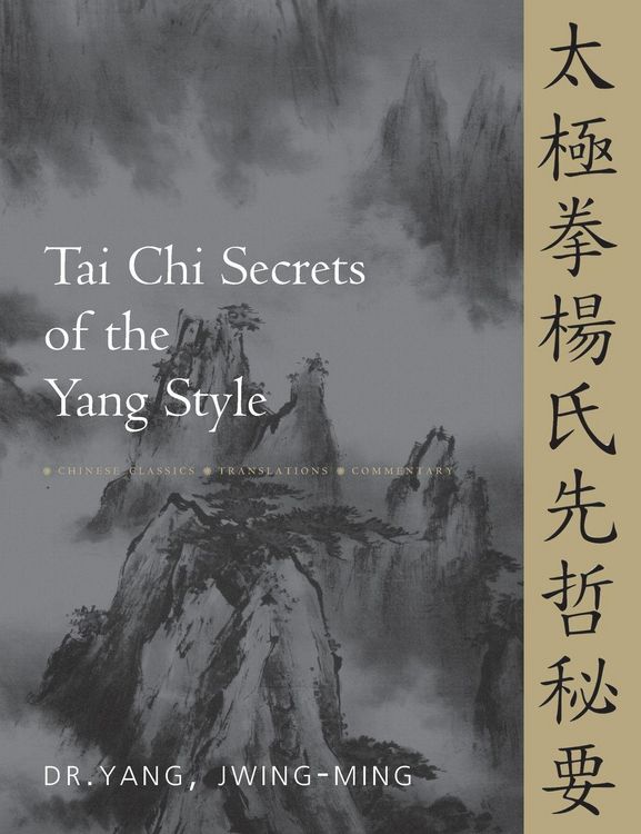 Produktbild: Tai CHI Secrets of the Yang Style