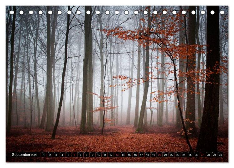 Produktbild: Zauberhafter Sachsenwald (Tischkalender 2026 DIN A5 quer), CALVENDO Monatskalender