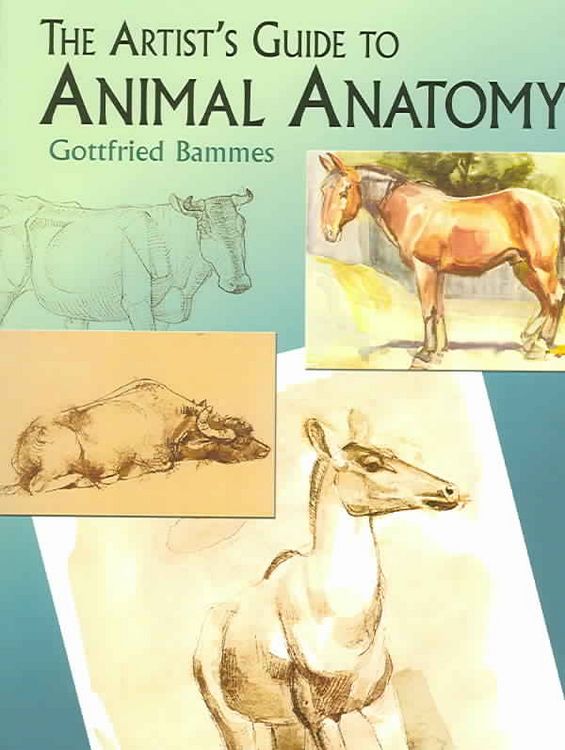 Produktbild: The Artist's Guide to Animal Anatomy