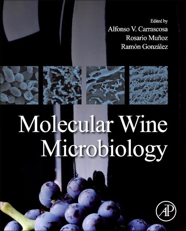 Produktbild: Molecular Wine Microbiology