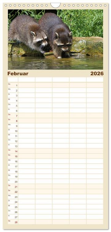 Produktbild: Familienplaner 2026 - Waschb&auml;ren mit 5 Spalten (Wandkalender, 21 x 45 cm) CALVENDO