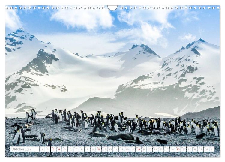 Produktbild: Antarktis - Das Reich der Pinguine (Wandkalender 2026 DIN A3 quer), CALVENDO Monatskalender