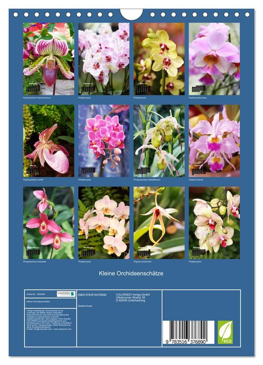 Produktbild: Kleine Orchideensch&auml;tze (Wandkalender 2026 DIN A4 hoch), CALVENDO Monatskalender