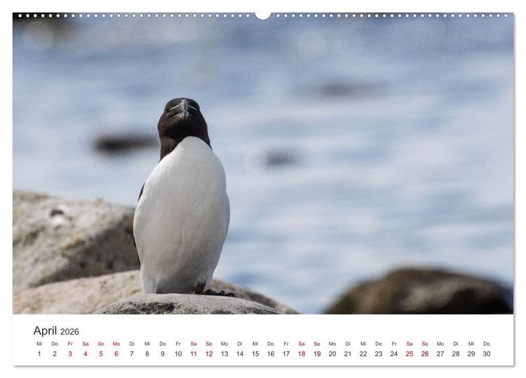 Produktbild: Schwedens S&uuml;dosten (Wandkalender 2026 DIN A2 quer), CALVENDO Monatskalender