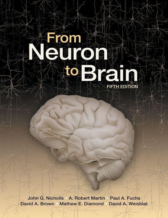 Produktbild: From Neuron to Brain