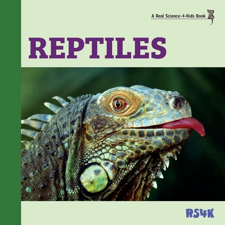 Produktbild: Reptiles