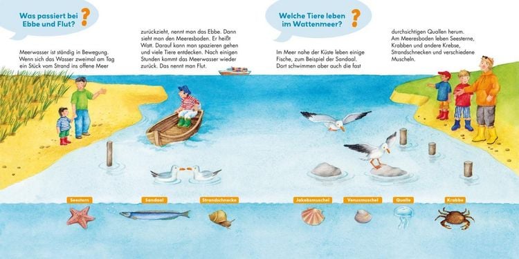 Produktbild: Frag doch mal ... die Maus: Am Meer