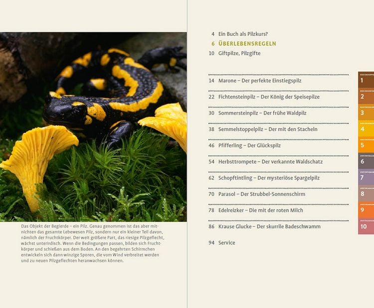 Produktbild: 10 Pilze