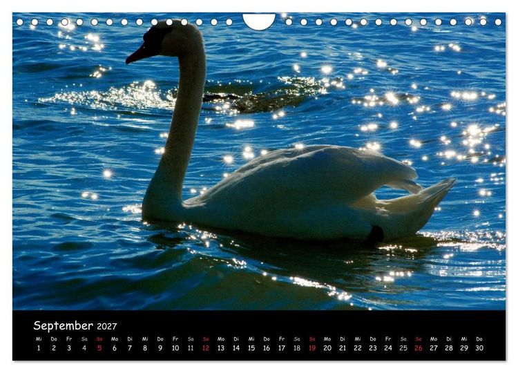 Produktbild: Lazise und Umgebung (Wandkalender 2027 DIN A4 quer), CALVENDO Monatskalender