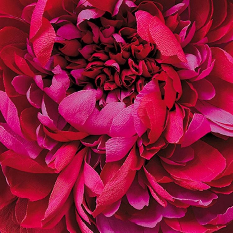 Produktbild: Easy Bag Fashion Bl&uuml;ten rot - Anja S.